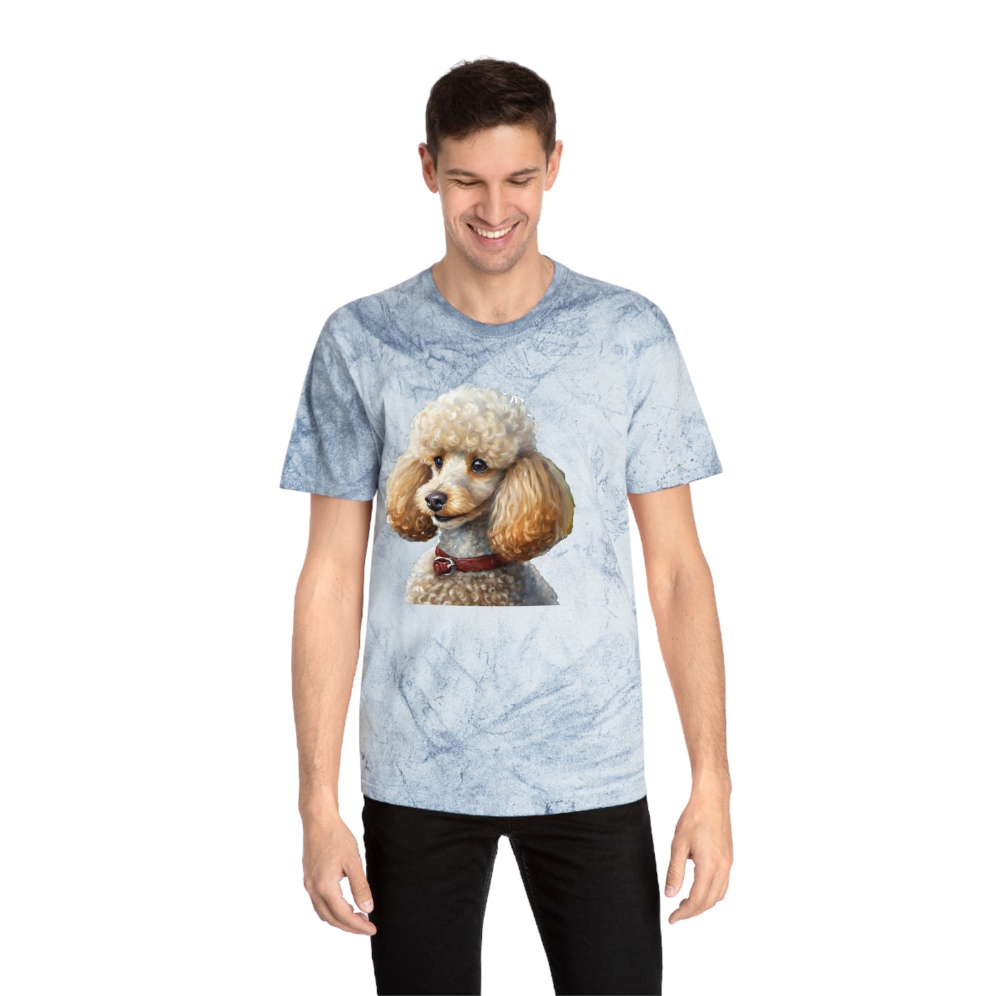 Standard Poodle #2 - Classic Color Blast T-Shirt