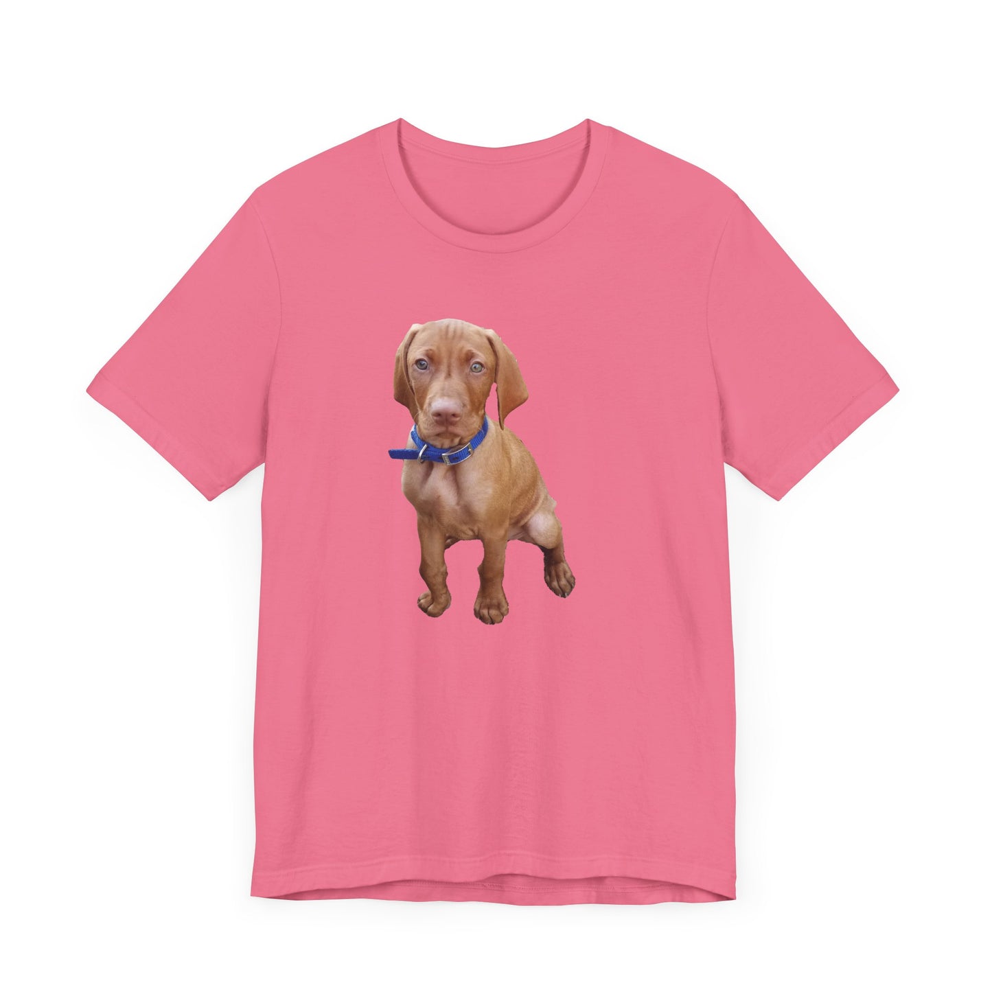 Vizsla 'Augie' Unisex Jersey Short Sleeve Tee