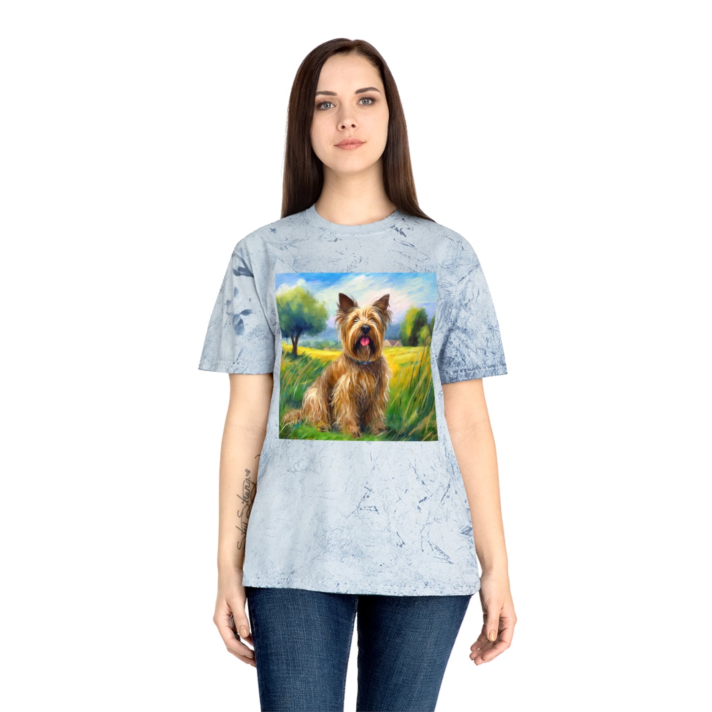 Briard Classic Color Blast T-Shirt