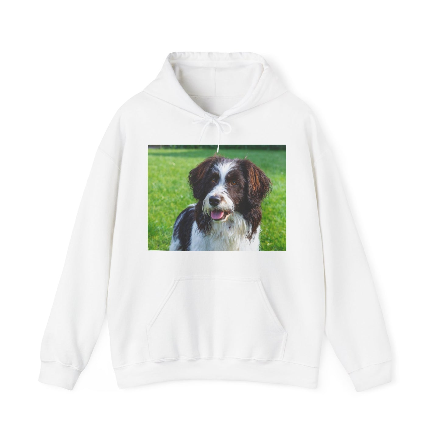 Drentsche Patrijshond Classic 50/50 Hooded Sweatshirt