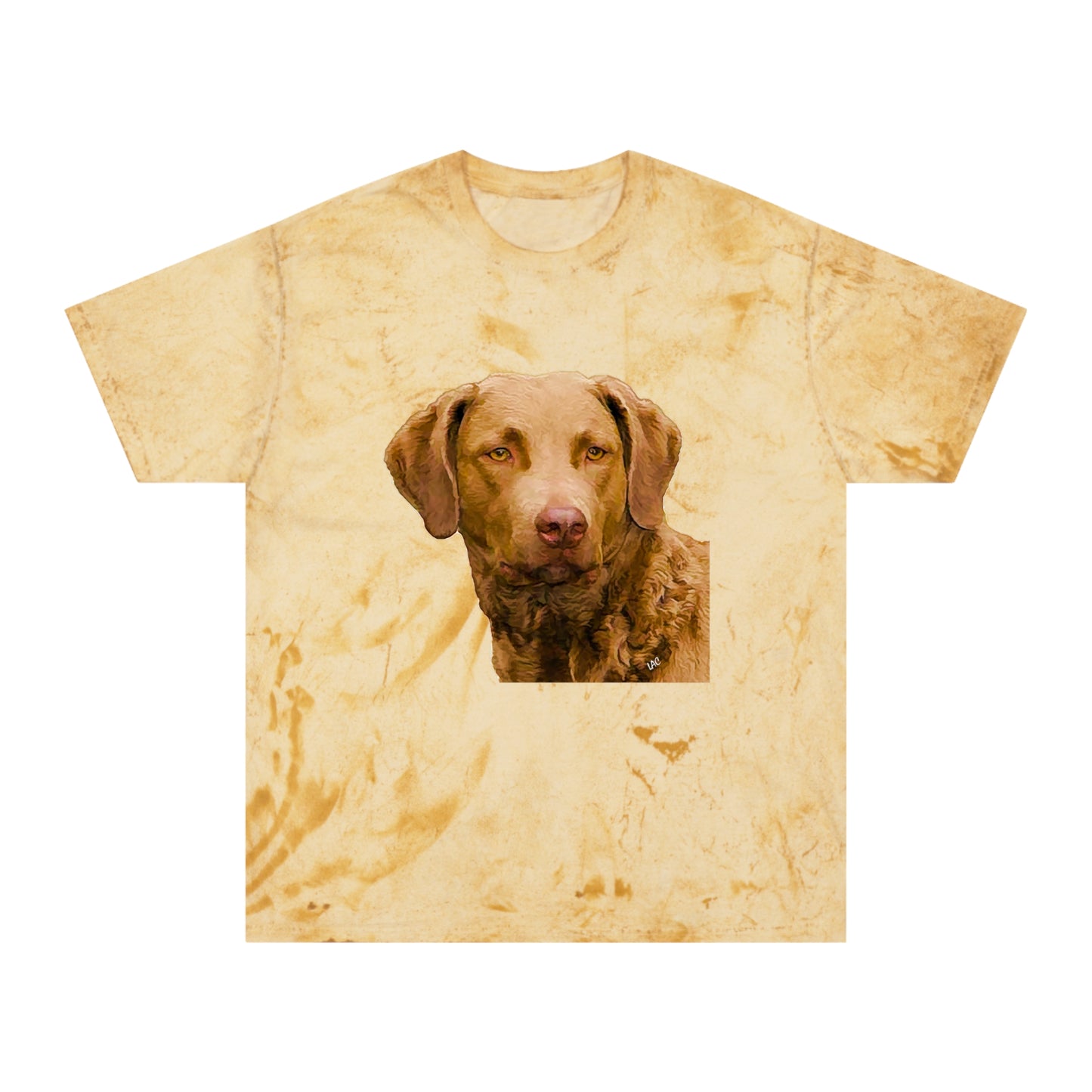 Chesapeake Bay Retriever Classic Color Blast T-Shirt