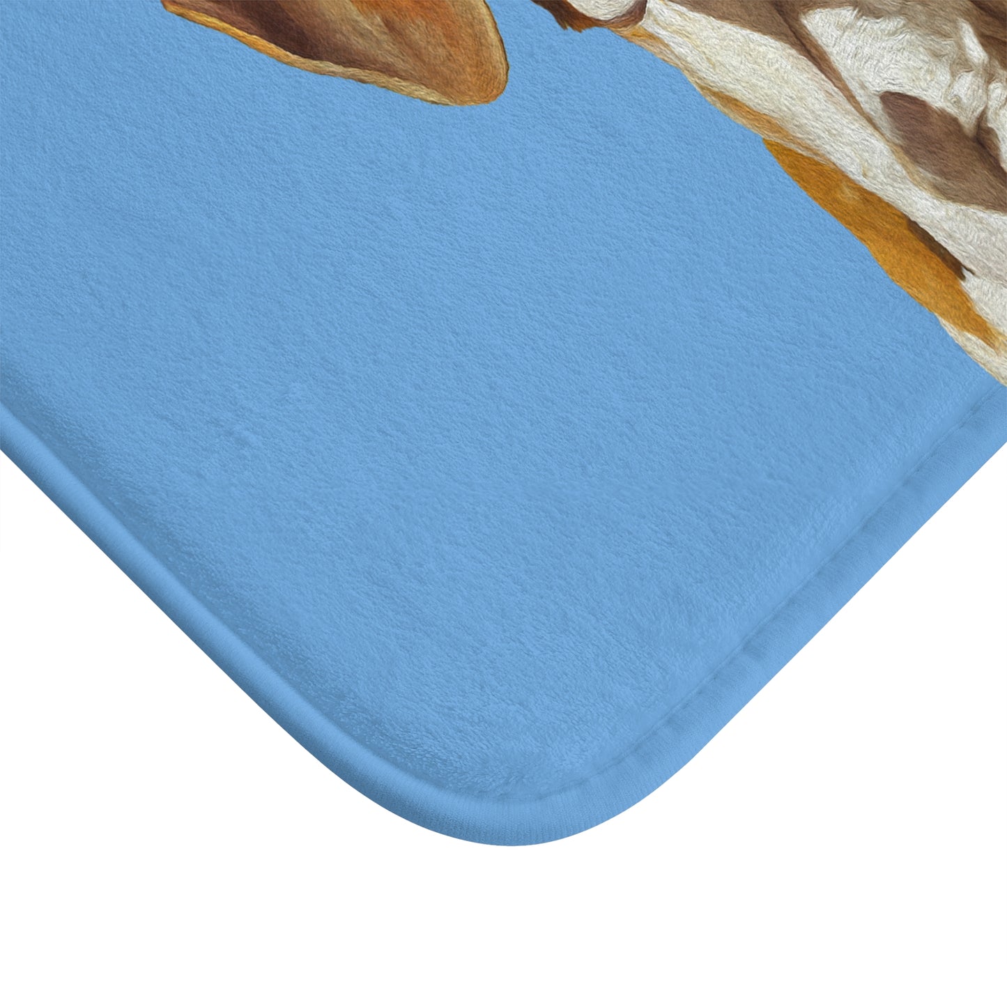 Harrier Bathroom Rug Mat: Comfort Meets Style