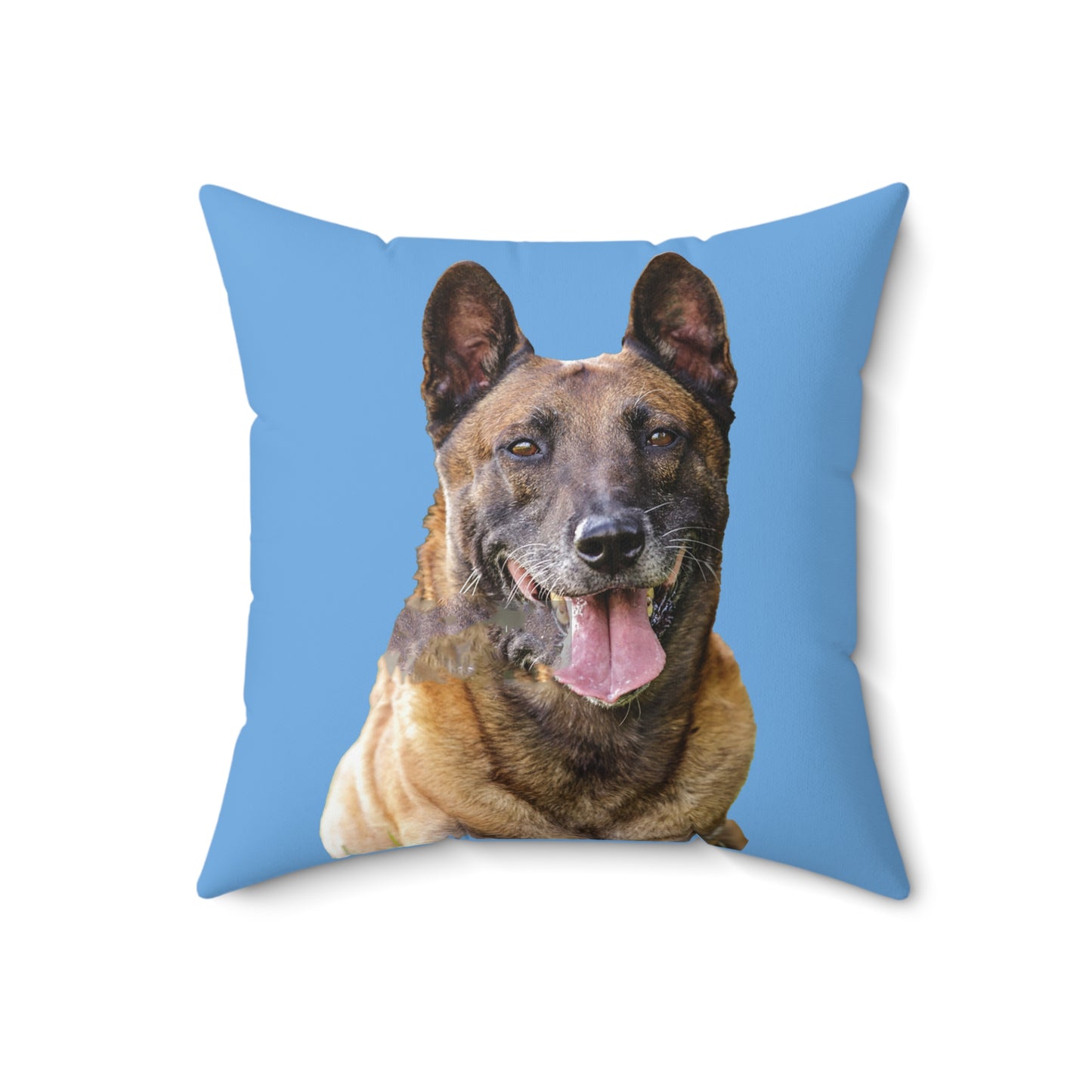 Belgian Malinois Spun Polyester Throw Pillow