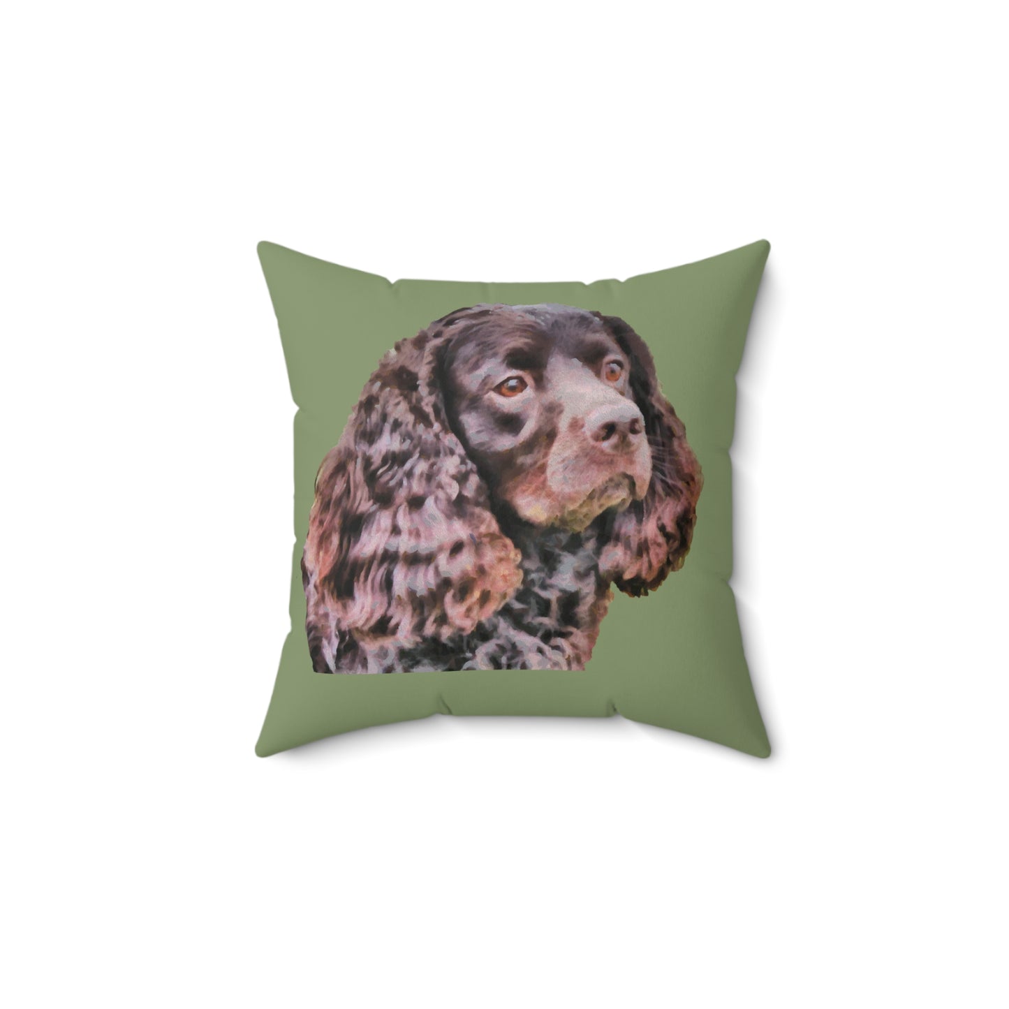 American Water Spaniel Spun Polyester Throw Pillow