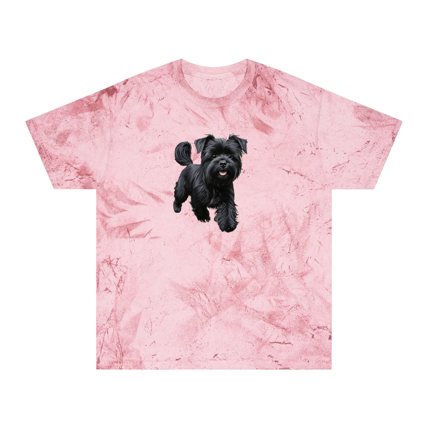 Affenspinscher Unisex Color Blast T-Shirt
