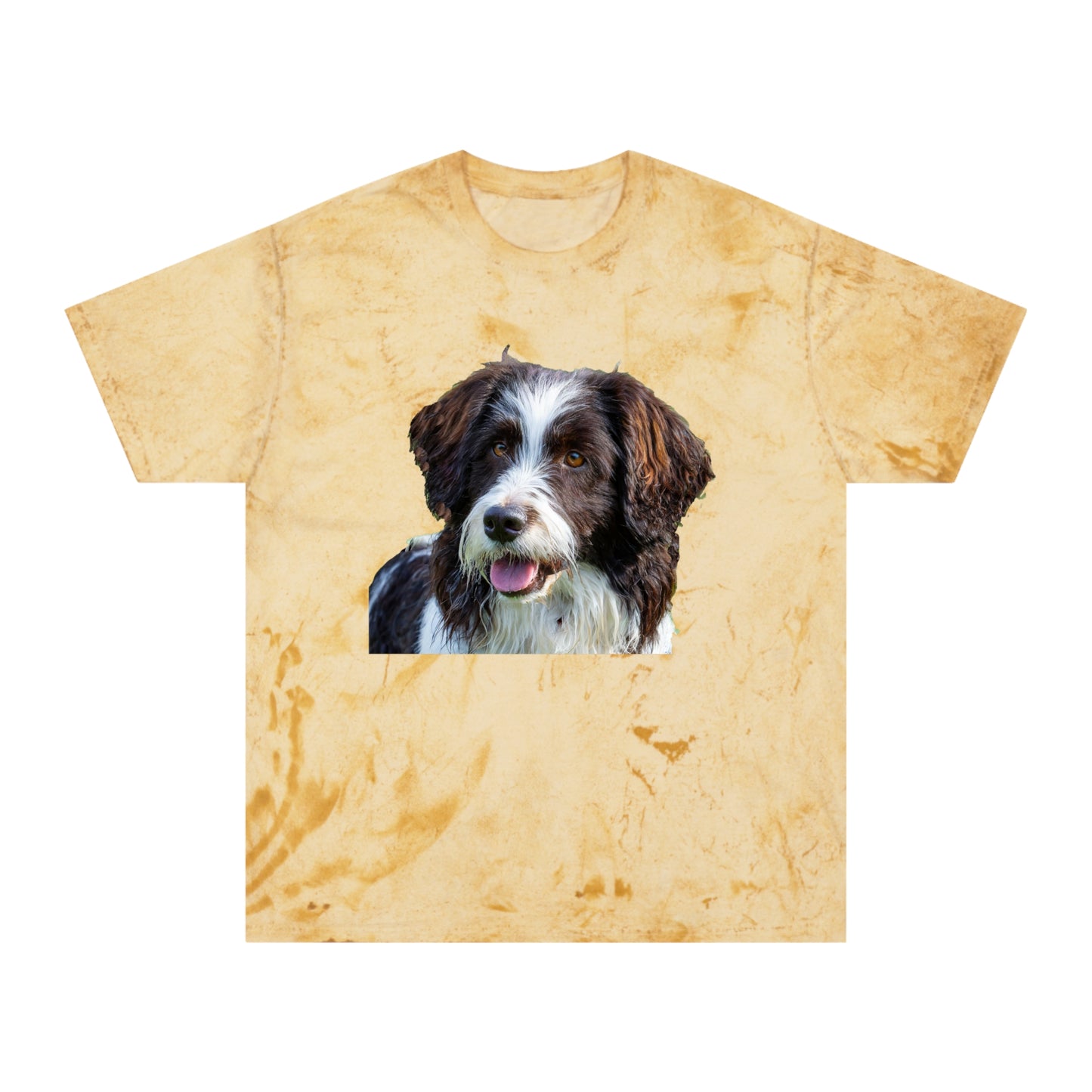 Drentsche Patrijshond Classic Color Blast T-Shirt