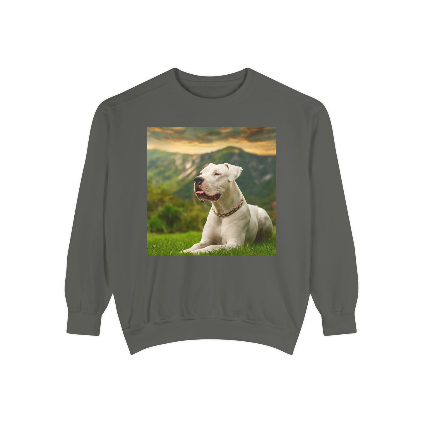 Dogo Argentino - Unisex Garment-Dyed Sweatshirt