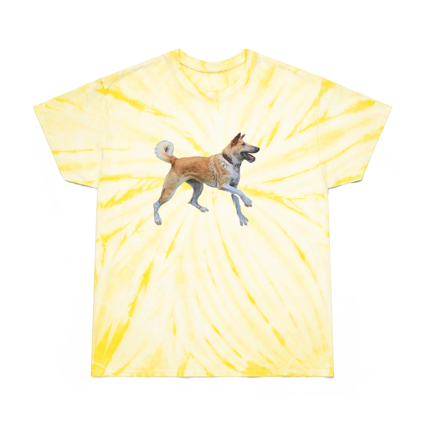 Korean Jindo Tie-Dye Tee, Cyclone