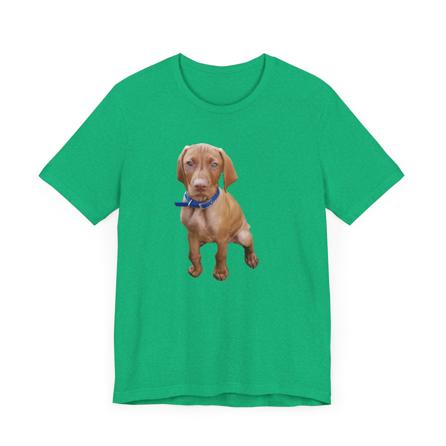 Vizsla 'Augie' Unisex Jersey Short Sleeve Tee