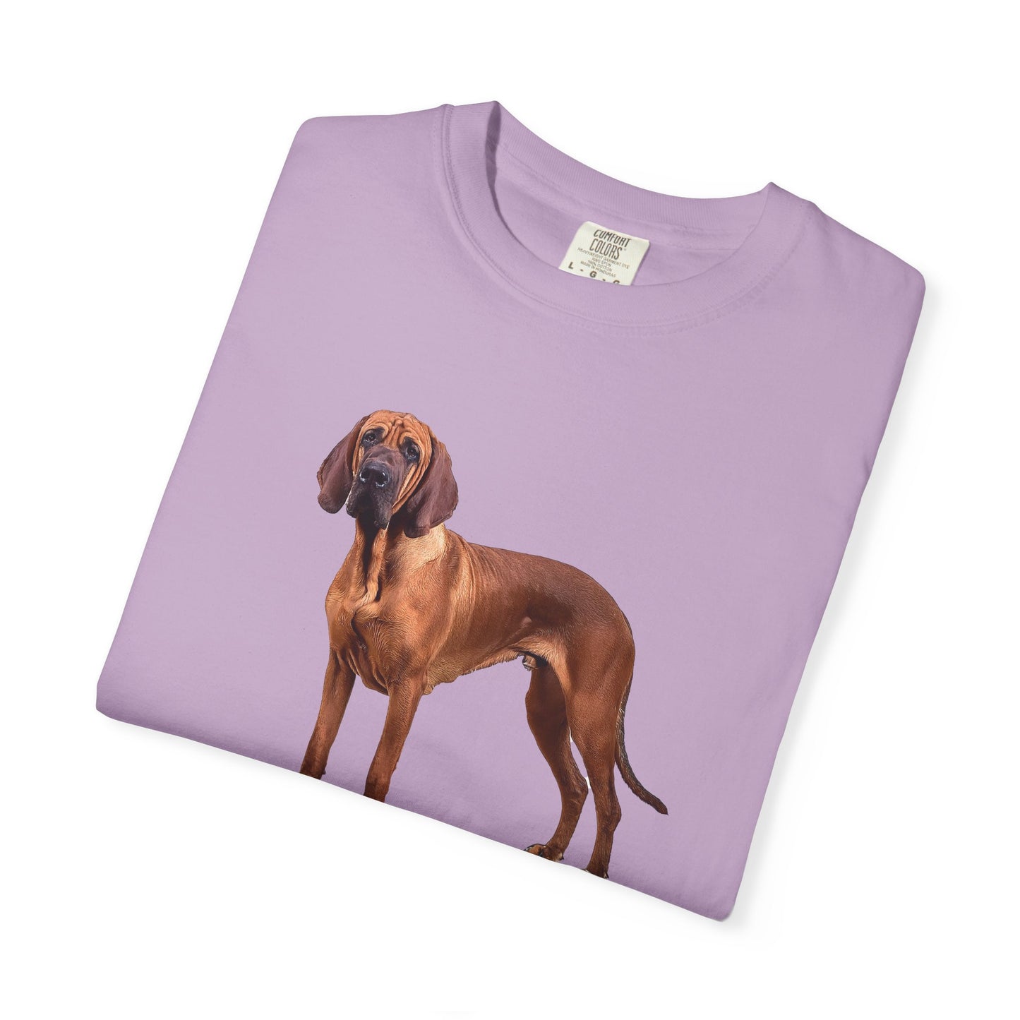 Bloodhound Unisex Relaxed Fit Garment-Dyed T-shirt