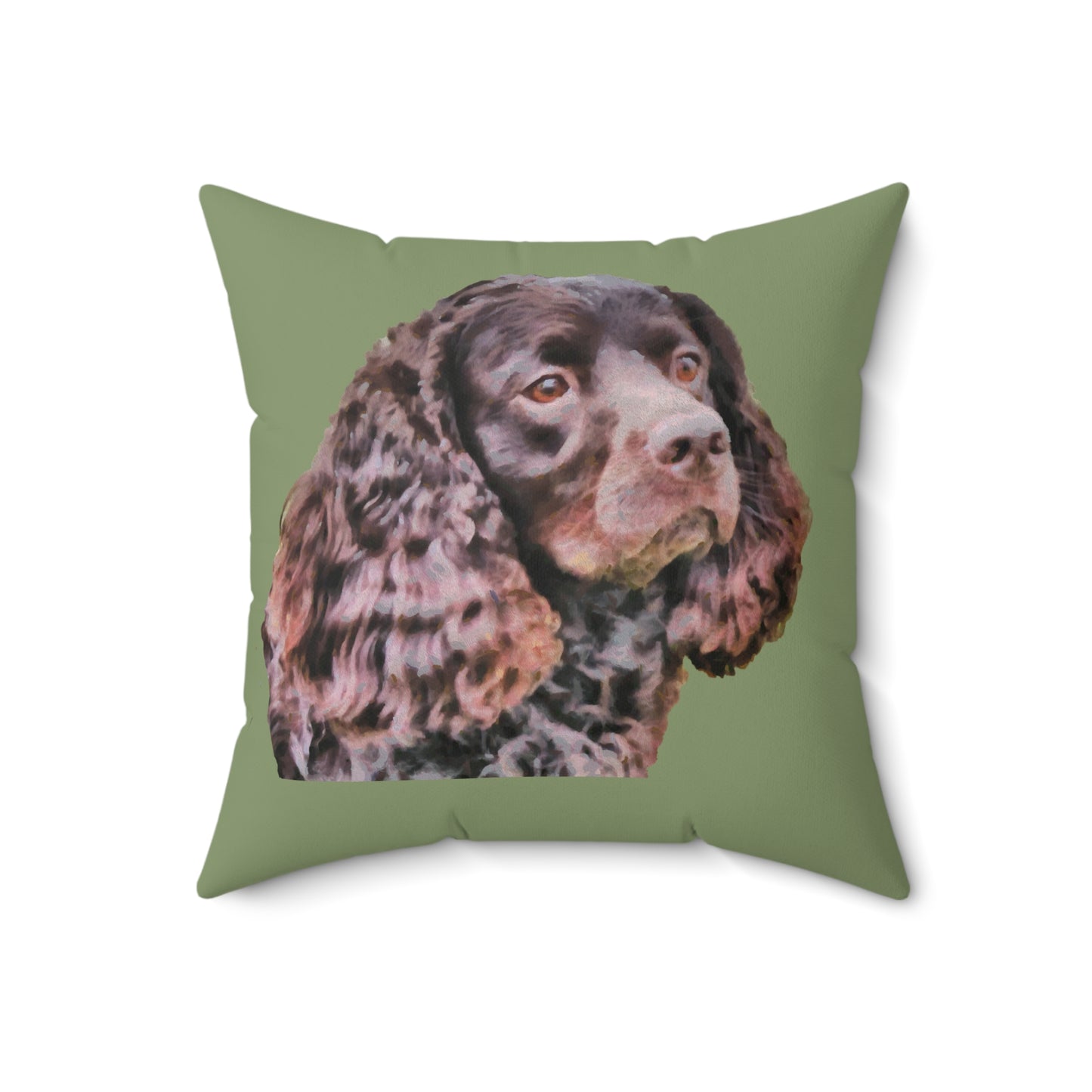 American Water Spaniel Spun Polyester Throw Pillow