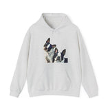Boston Terriers 'Skipper & Dee Dee' Unisex 50/50 Hoodie