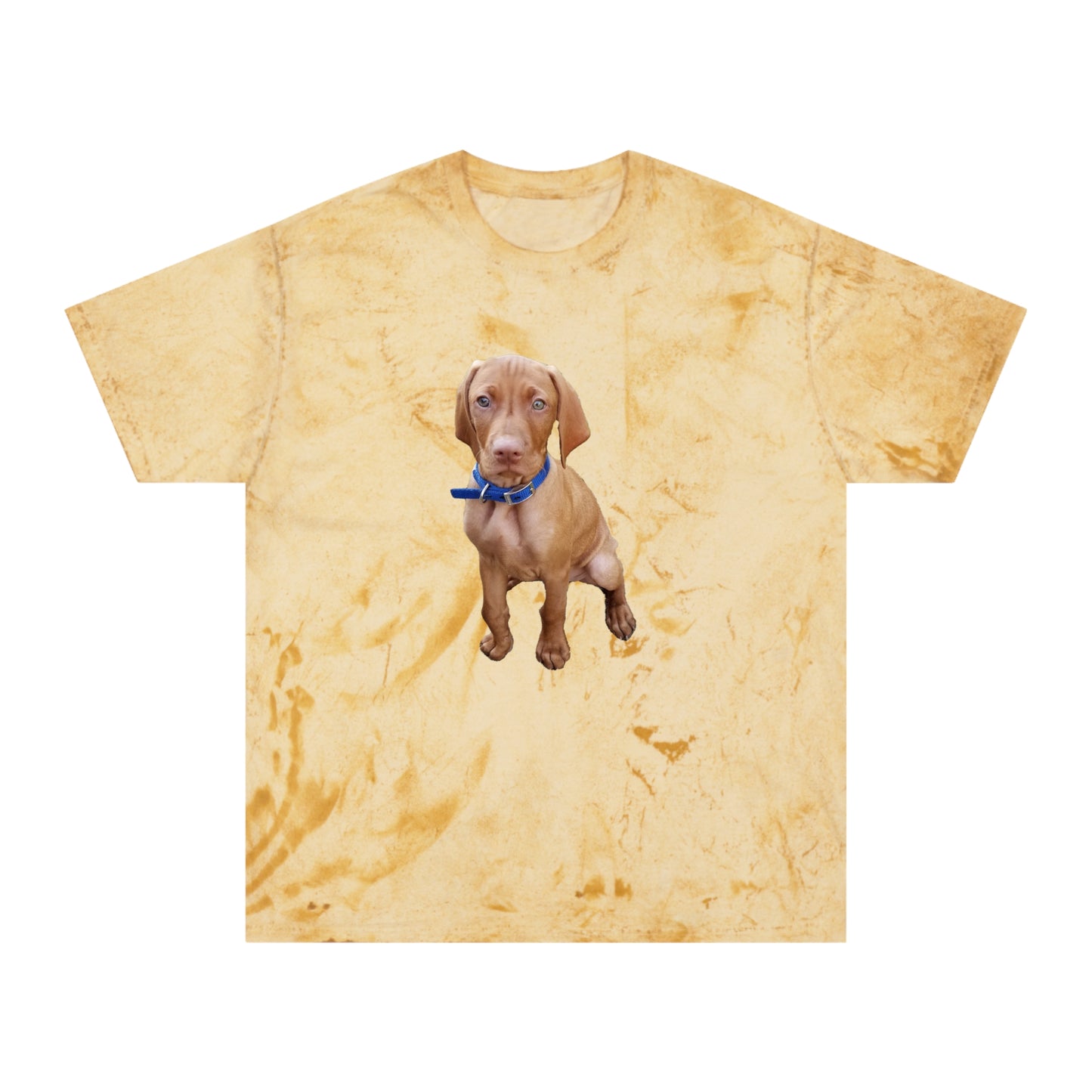 Vizsla 'Augie' Unisex Cotton - Color Blast T-Shirt