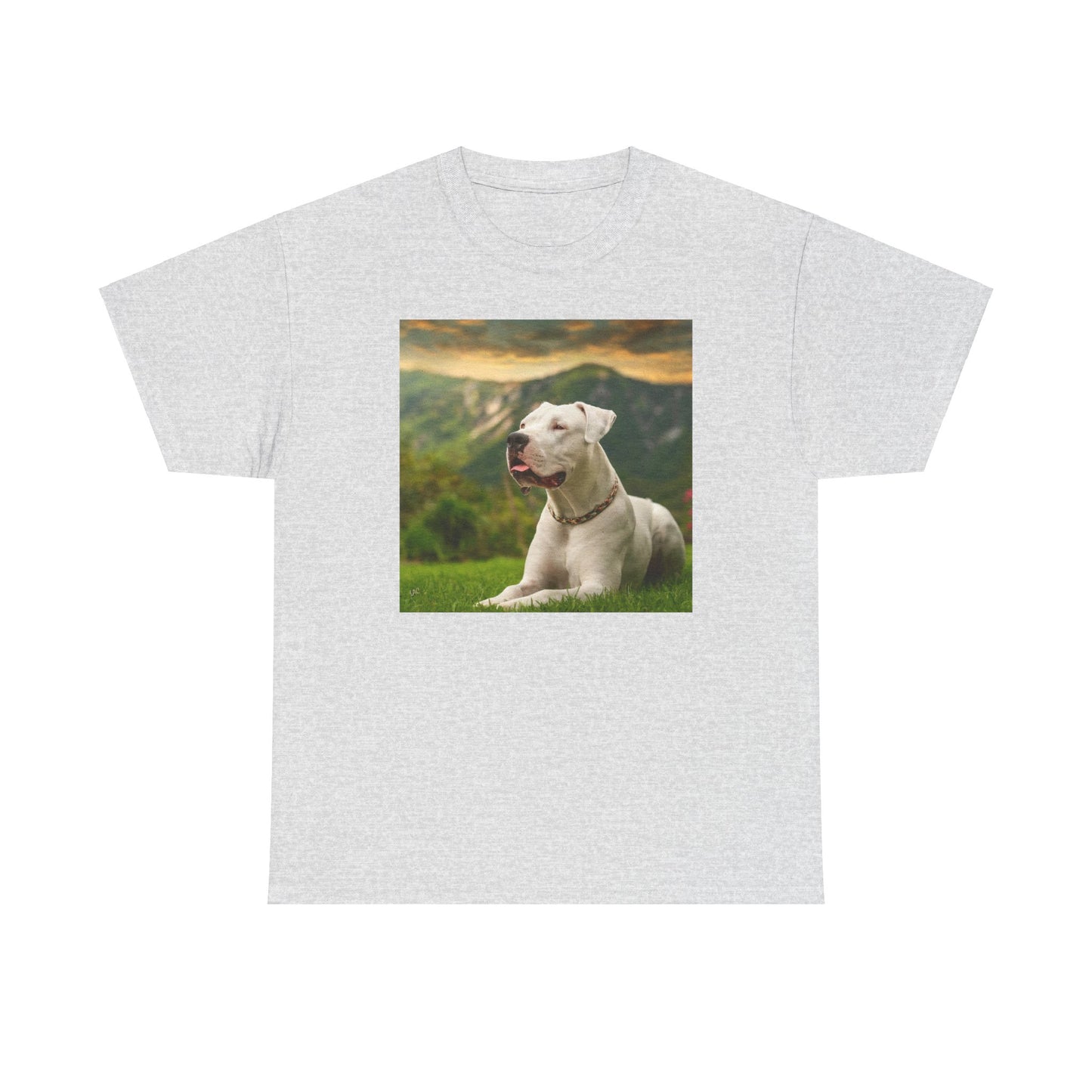 Dogo Argentino Heavy Cotton Tee