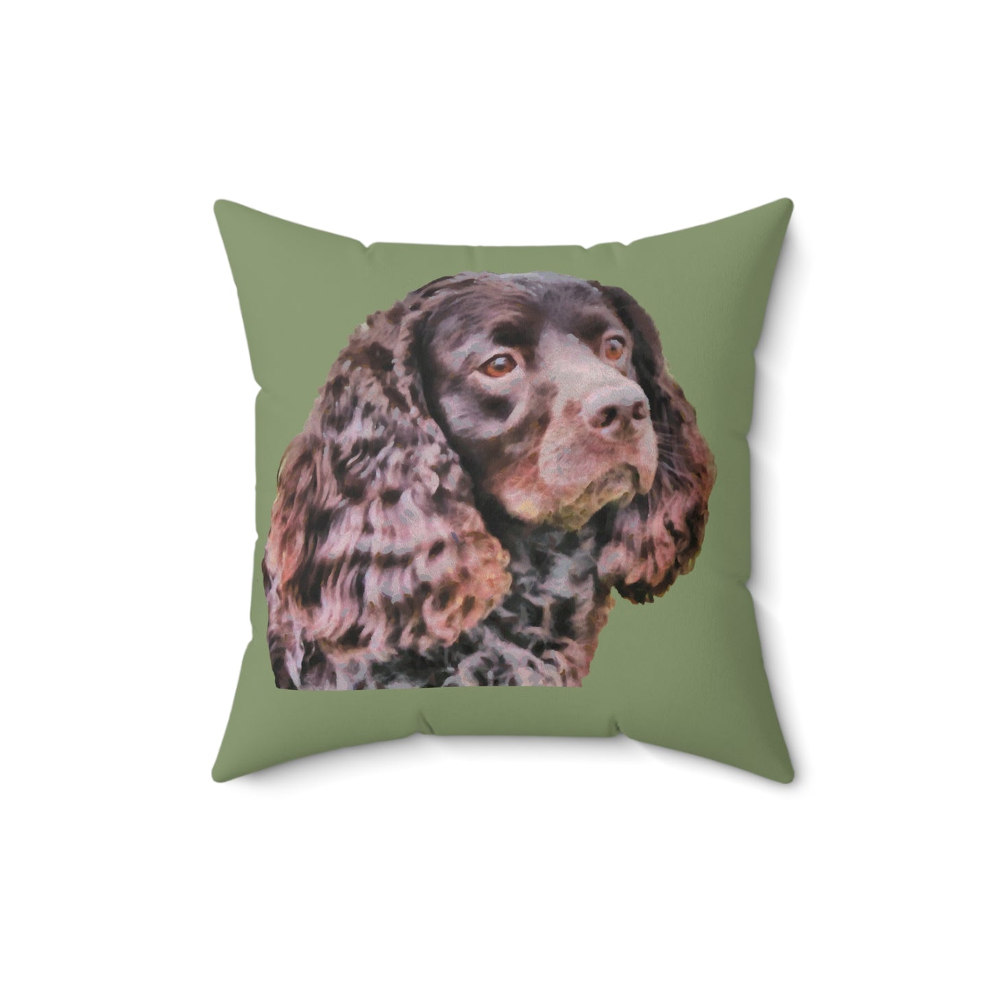 American Water Spaniel Spun Polyester Throw Pillow