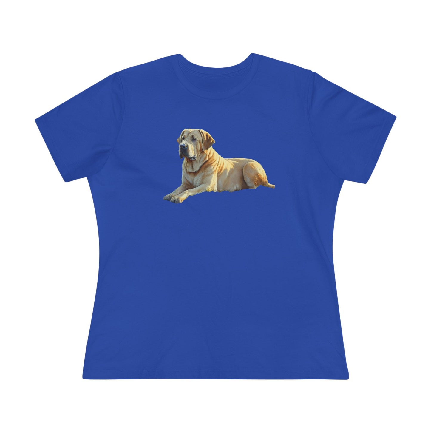 Broholmer Danish Mastiff Women's Relaxed Tee