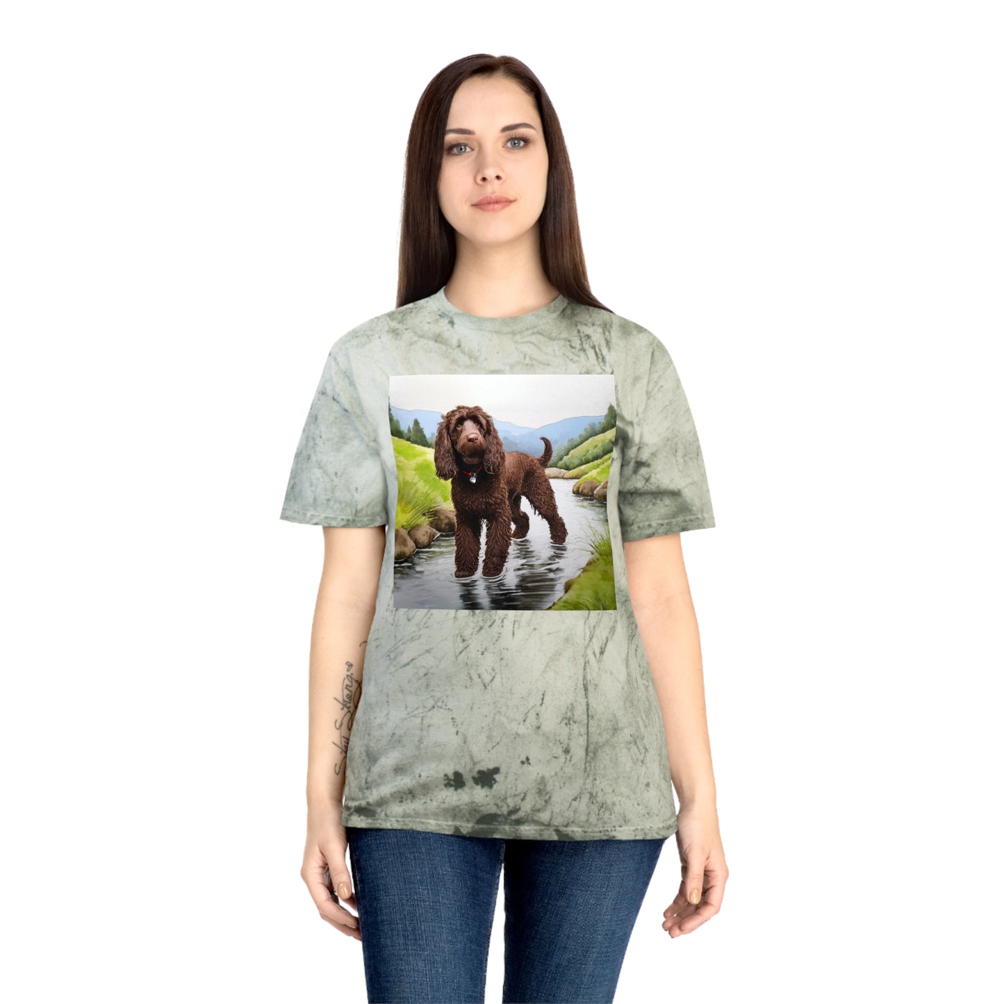 Irish Water Spaniel Unisex Color Blast T-Shirt