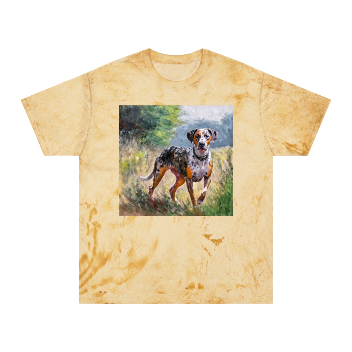 Catahoula Unisex Relaxed Fit Color Blast T-Shirt