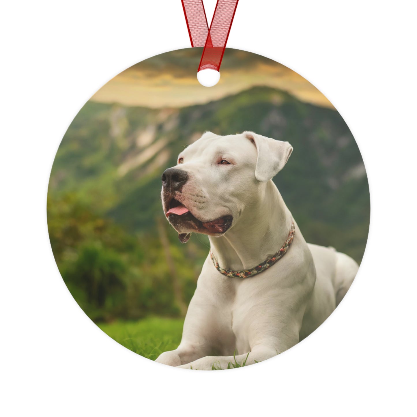 Dogo Argentino Metal Ornaments