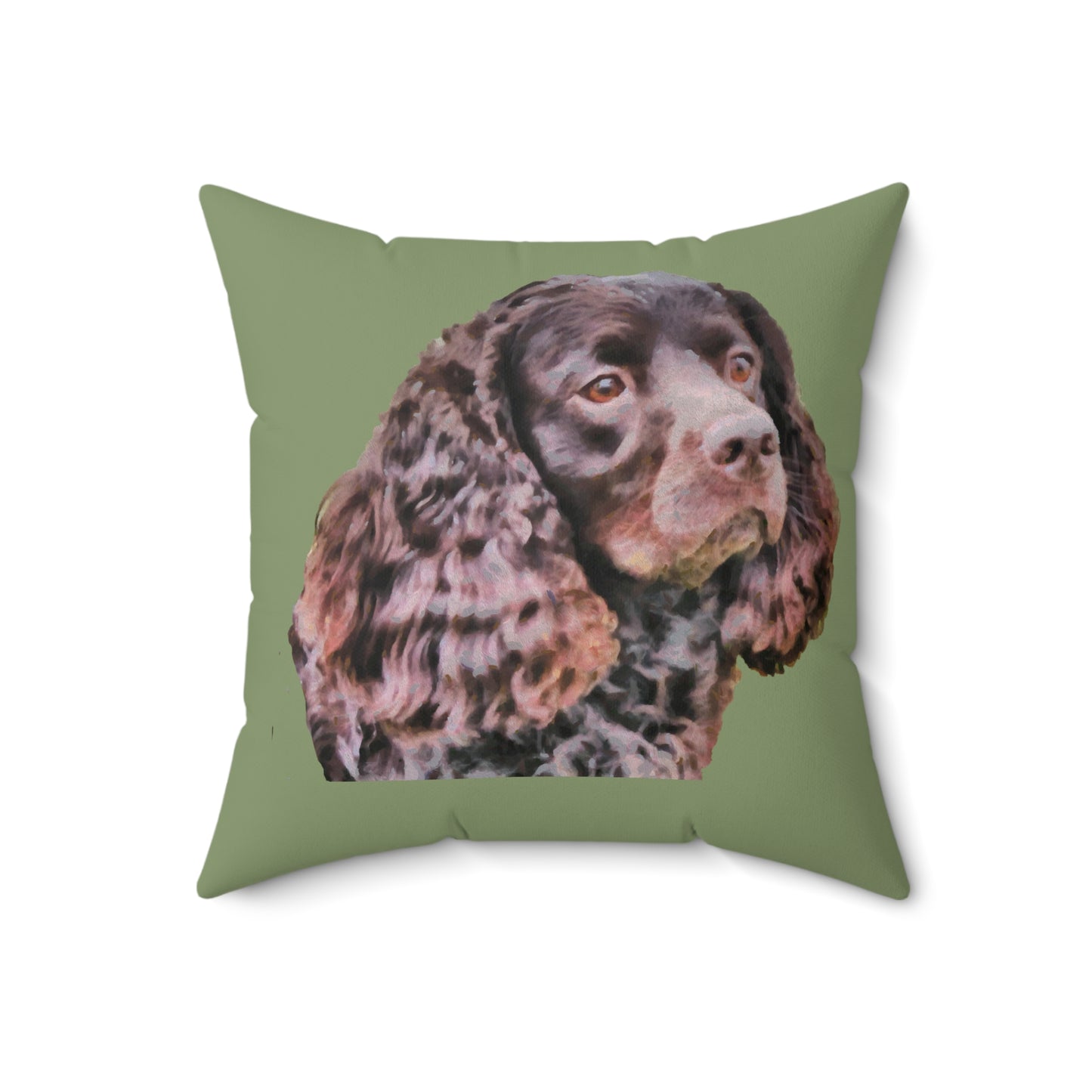 American Water Spaniel Spun Polyester Throw Pillow