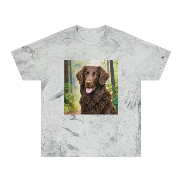 Curly-Coated Retriever  Color Blast T-Shirt