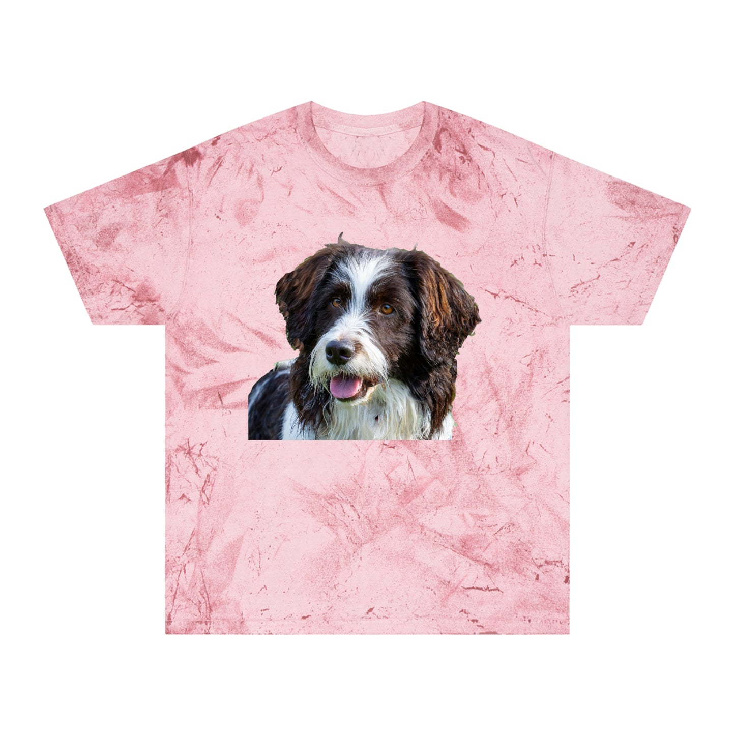 Drentsche Patrijshond Classic Color Blast T-Shirt
