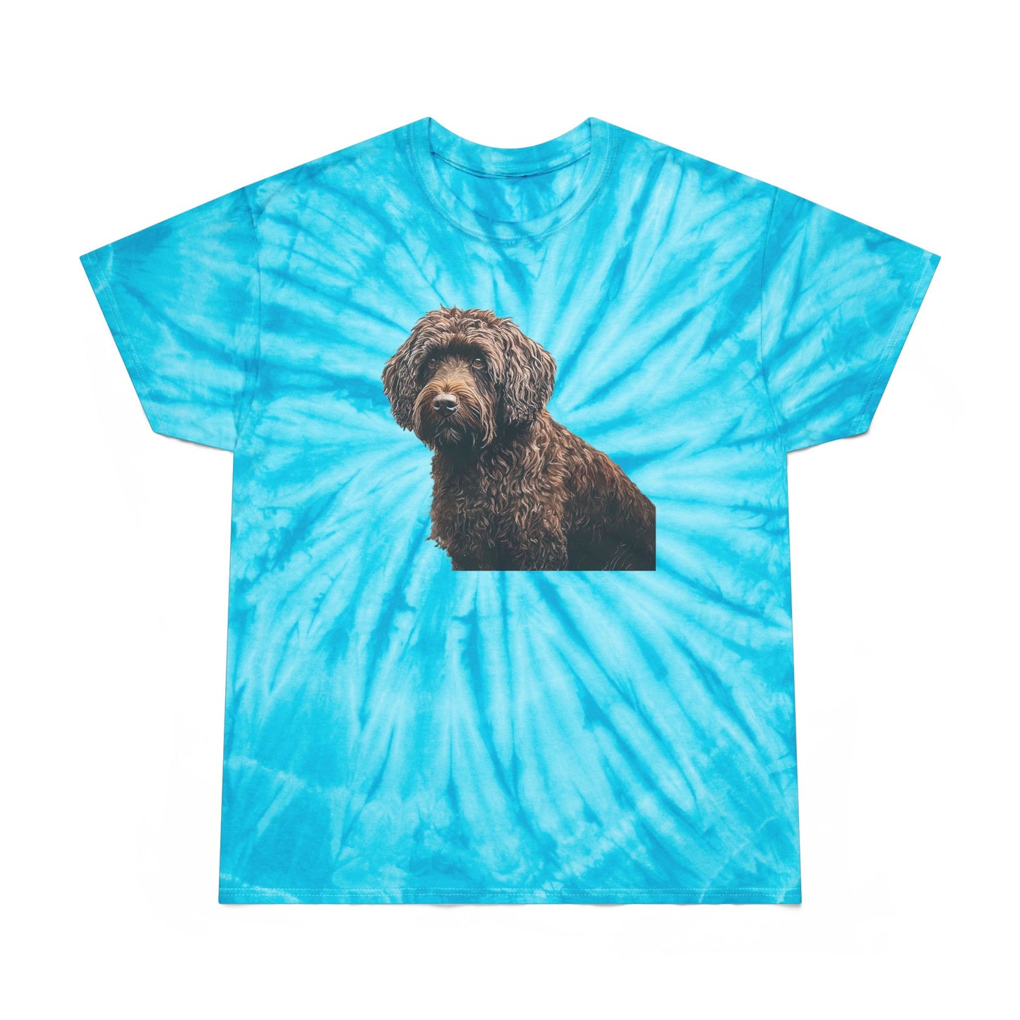 Barbet Tie-Dye Tee in Cyclone