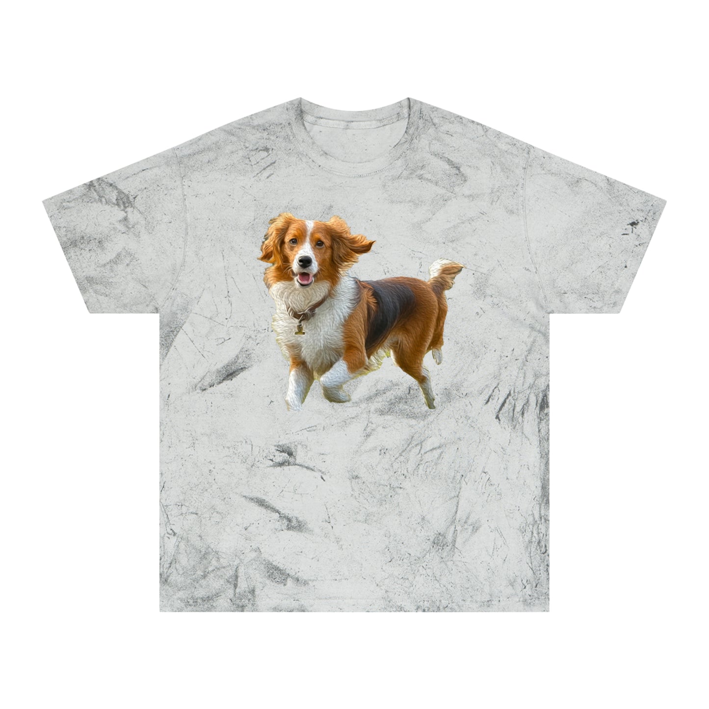 Nederlandse Kooikerhondje Unisex Color Blast T-Shirt