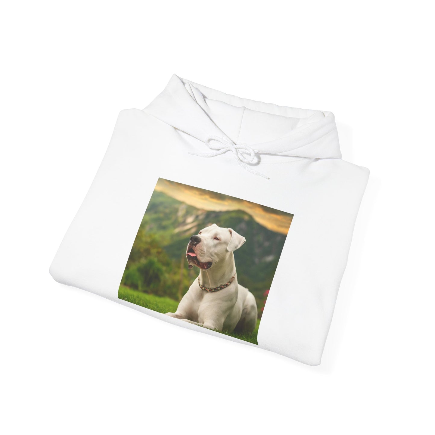 Dogo Argentino 50/50 Hooded Sweatshirt