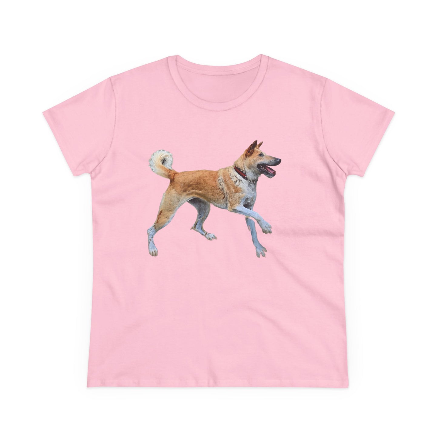 Korean Jindo Women's Midweight Cotton Tee