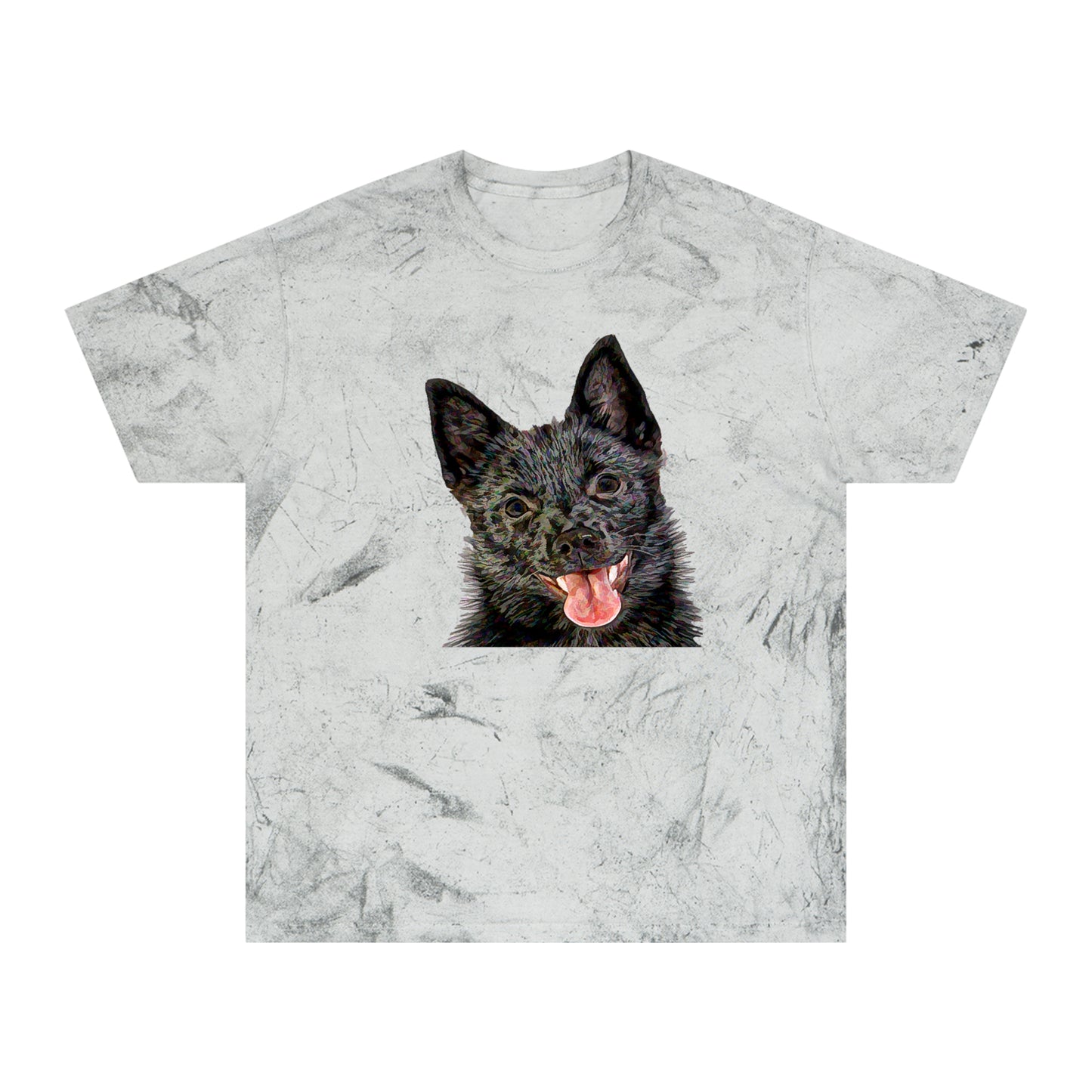 Schipperke Unisex Cotton - Color Blast T-Shirt