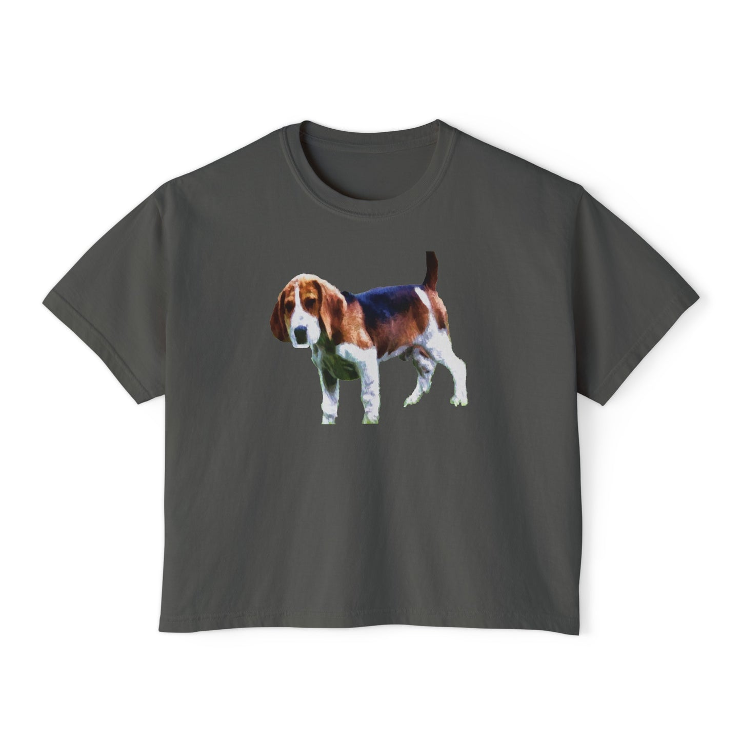 American Foxhound Women's Oversized Boxy Tee