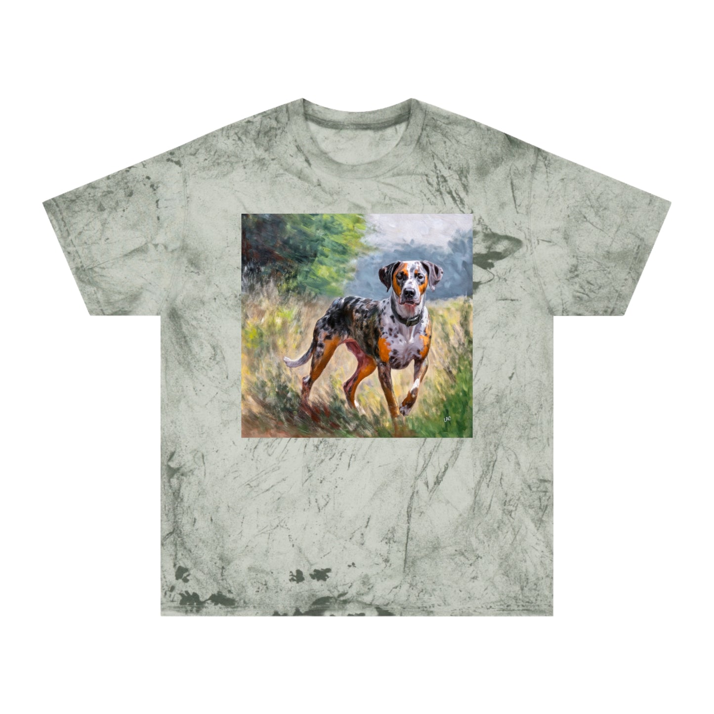 Catahoula Unisex Relaxed Fit Color Blast T-Shirt