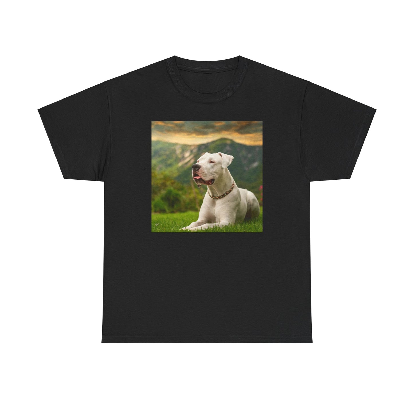 Dogo Argentino Heavy Cotton Tee