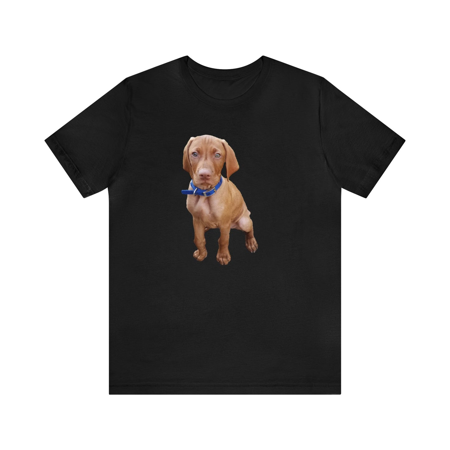 Vizsla 'Augie' - Classic Jersey Short Sleeve Tee