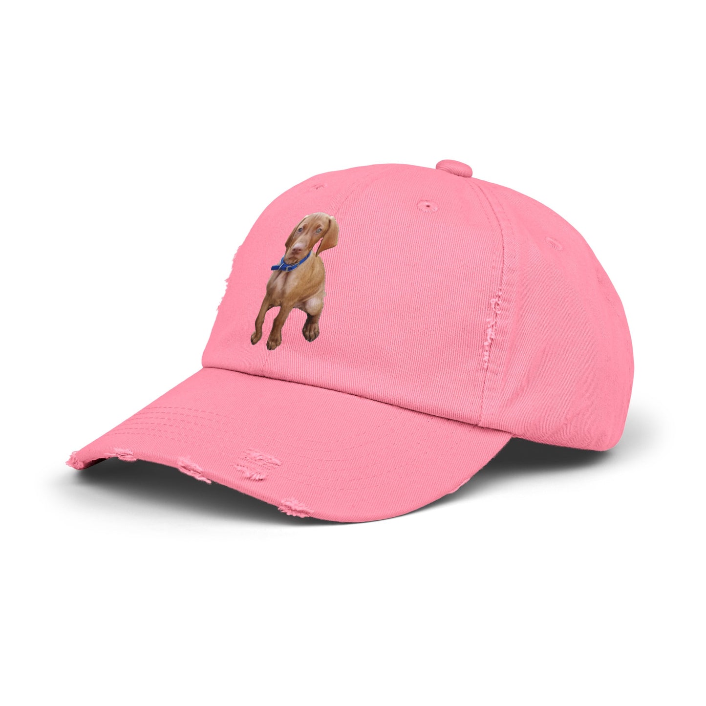 Vizsla Augie Test Unisex Distressed Cap