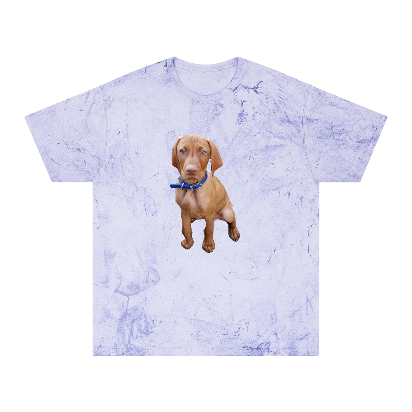 Vizsla 'Augie' Unisex Cotton - Color Blast T-Shirt
