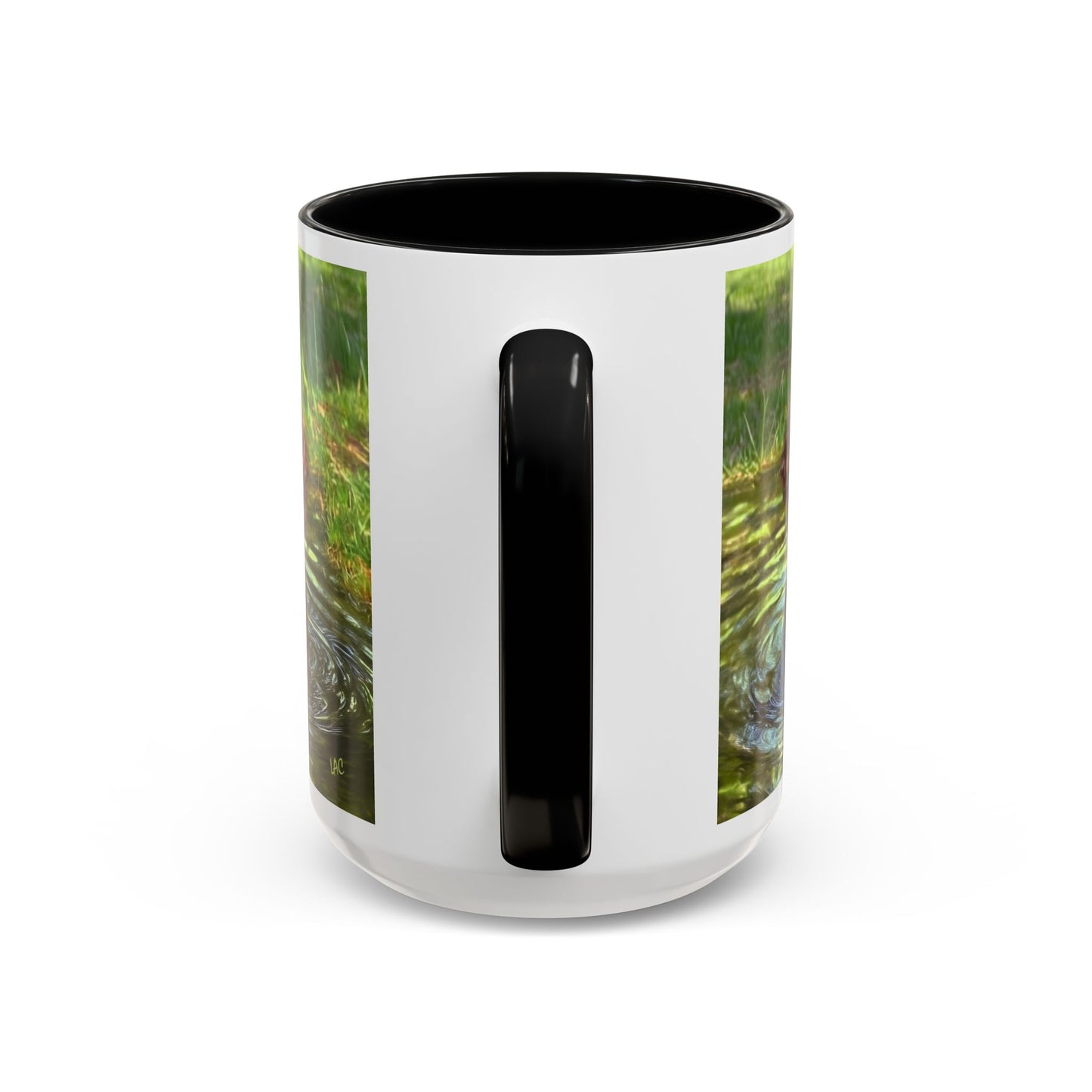 Boykin Spaniel -- Accent Coffee Mug --2 Sizes