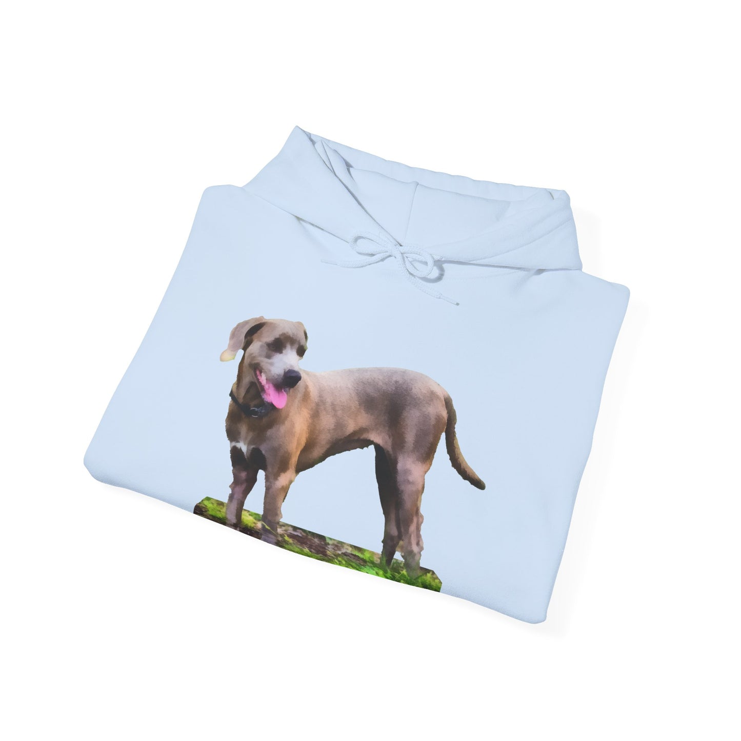 Blue Lacy 'Tex' Unisex 50/50 Hoodie