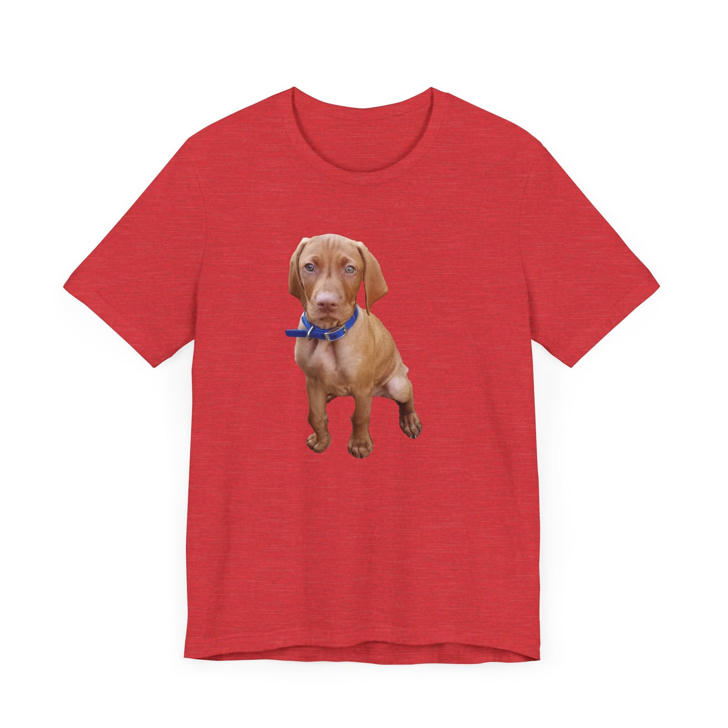 Vizsla 'Augie' Unisex Jersey Short Sleeve Tee
