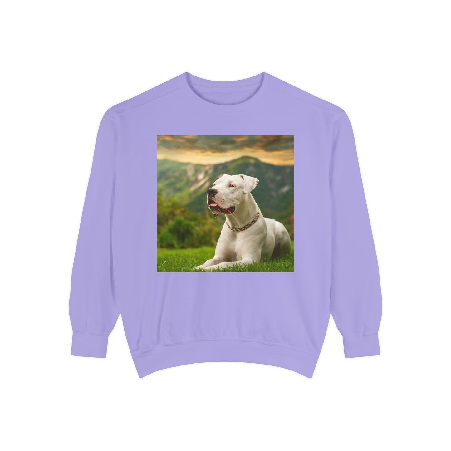 Dogo Argentino - Unisex Garment-Dyed Sweatshirt
