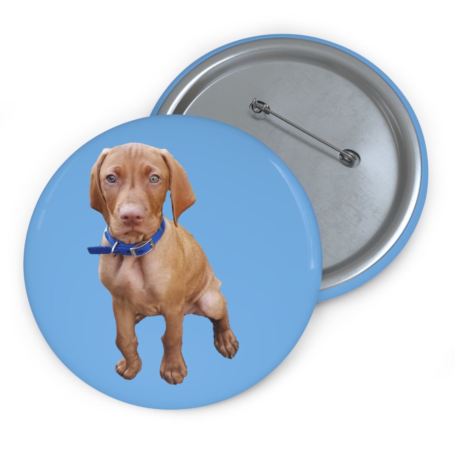 Hungarian Vizsla 'Augie' Pinback Buttons