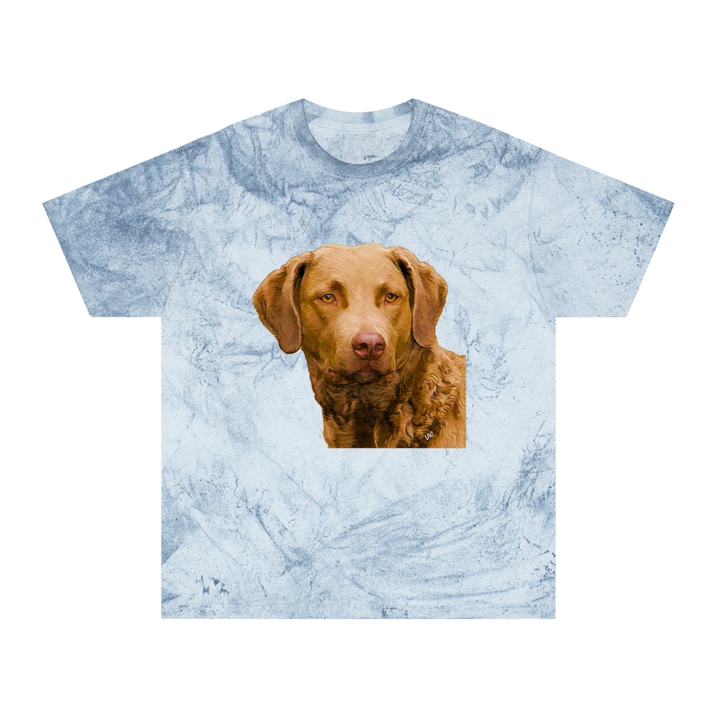 Chesapeake Bay Retriever Classic Color Blast T-Shirt