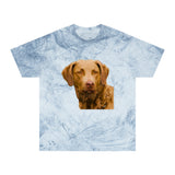 Chesapeake Bay Retriever Classic Color Blast T-Shirt