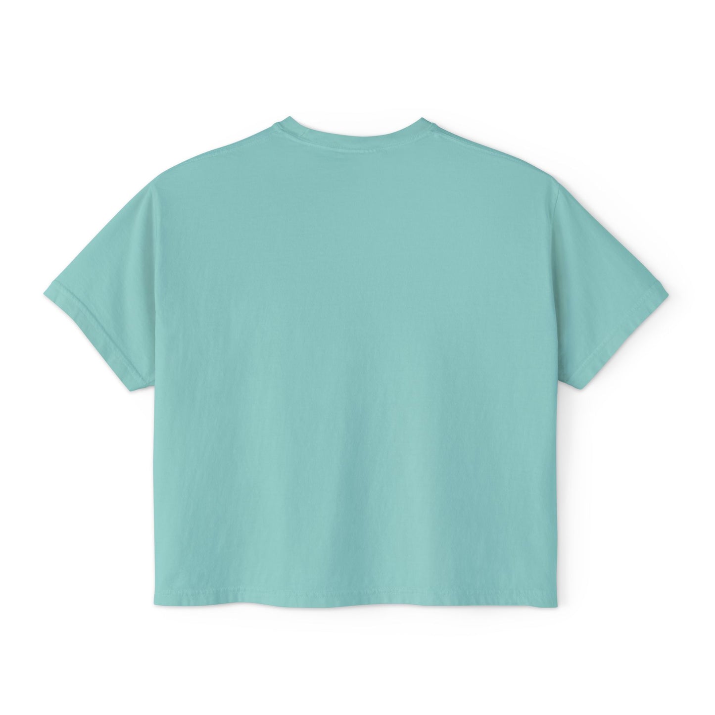 American Eskimo Dog Women's Oversized Boxy Tee