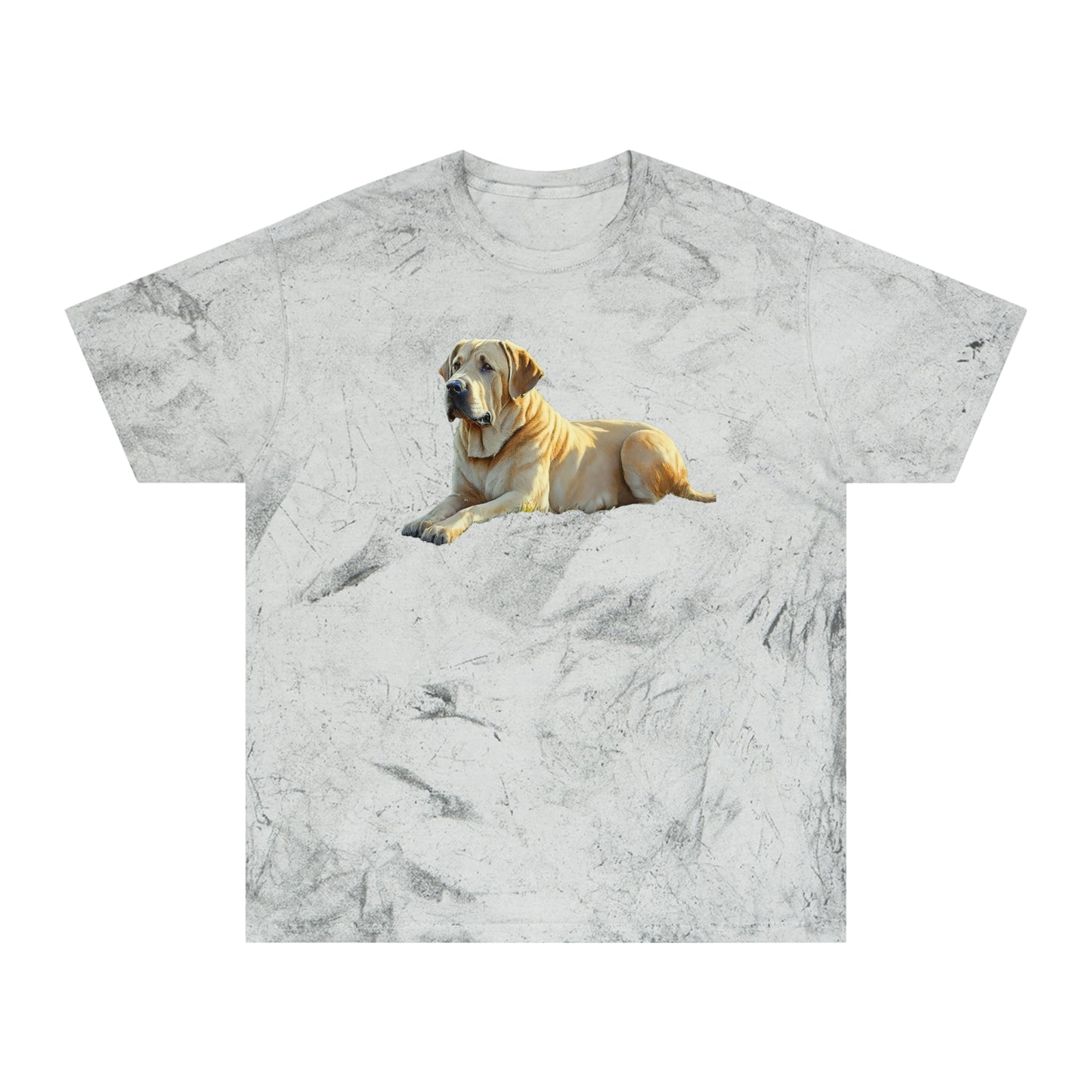 Broholmer Love Unisex Colour Blast T-Shirt