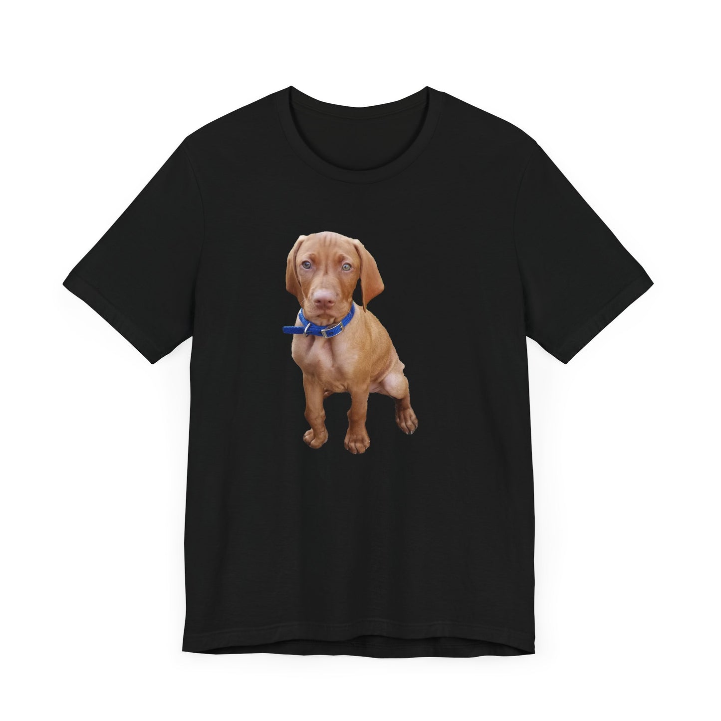 Vizsla 'Augie' Unisex Jersey Short Sleeve Tee