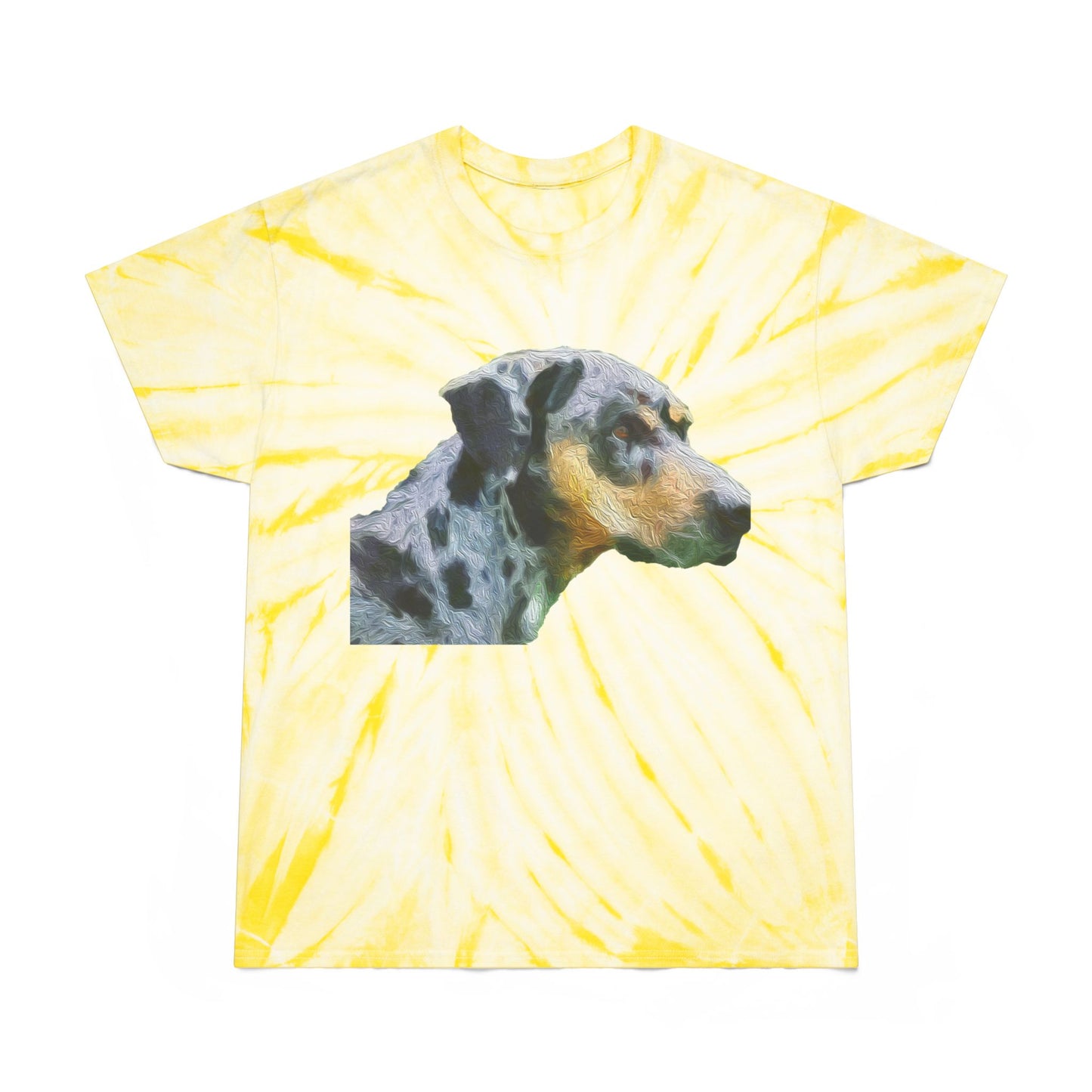 Catahoula 'Clancy' - Unisex Tie-Dye Tee, Cyclone