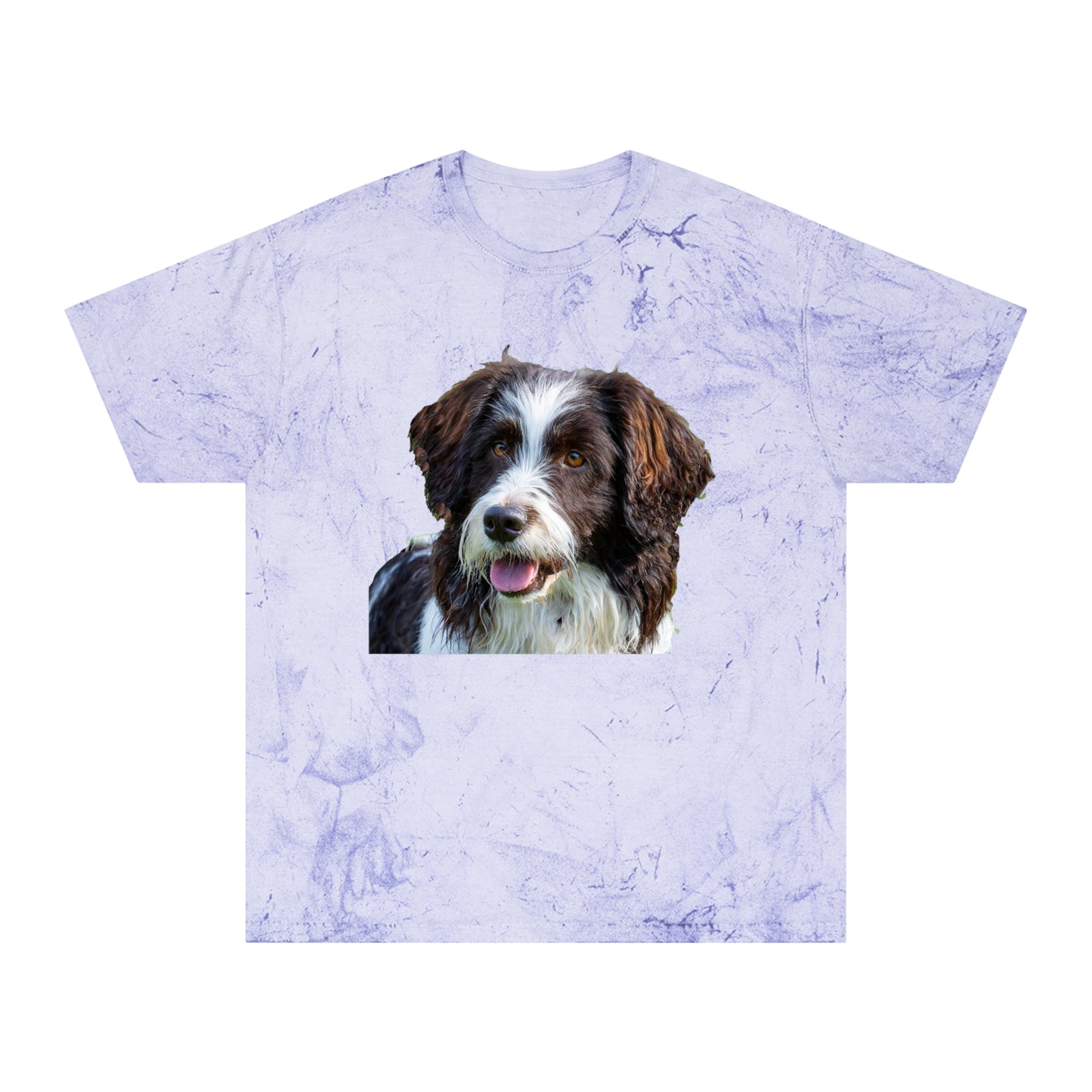 Drentsche Patrijshond Classic Color Blast T-Shirt