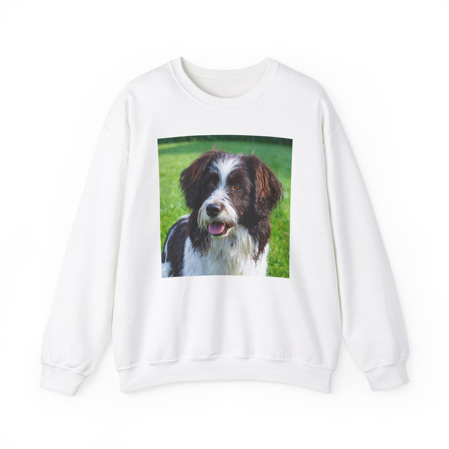 Drentsche Patrijshond Classic 50/50 Crewneck Sweatshirt